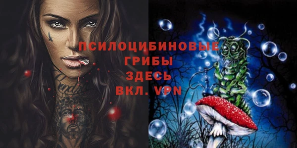 амф Бугульма