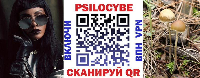 что такое   Мещовск  Галлюциногенные грибы MAGIC MUSHROOMS 