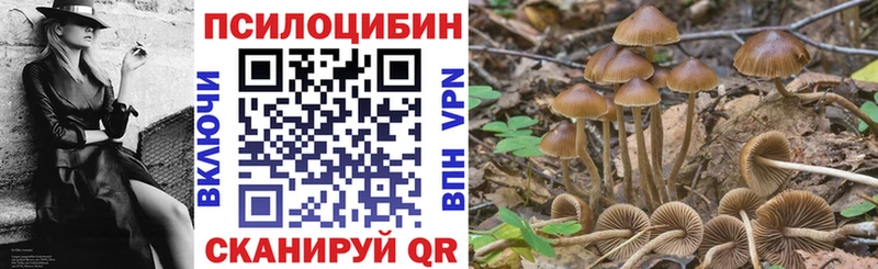 Псилоцибиновые грибы прущие грибы Мещовск